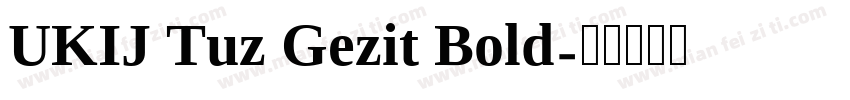 UKIJ Tuz Gezit Bold字体转换